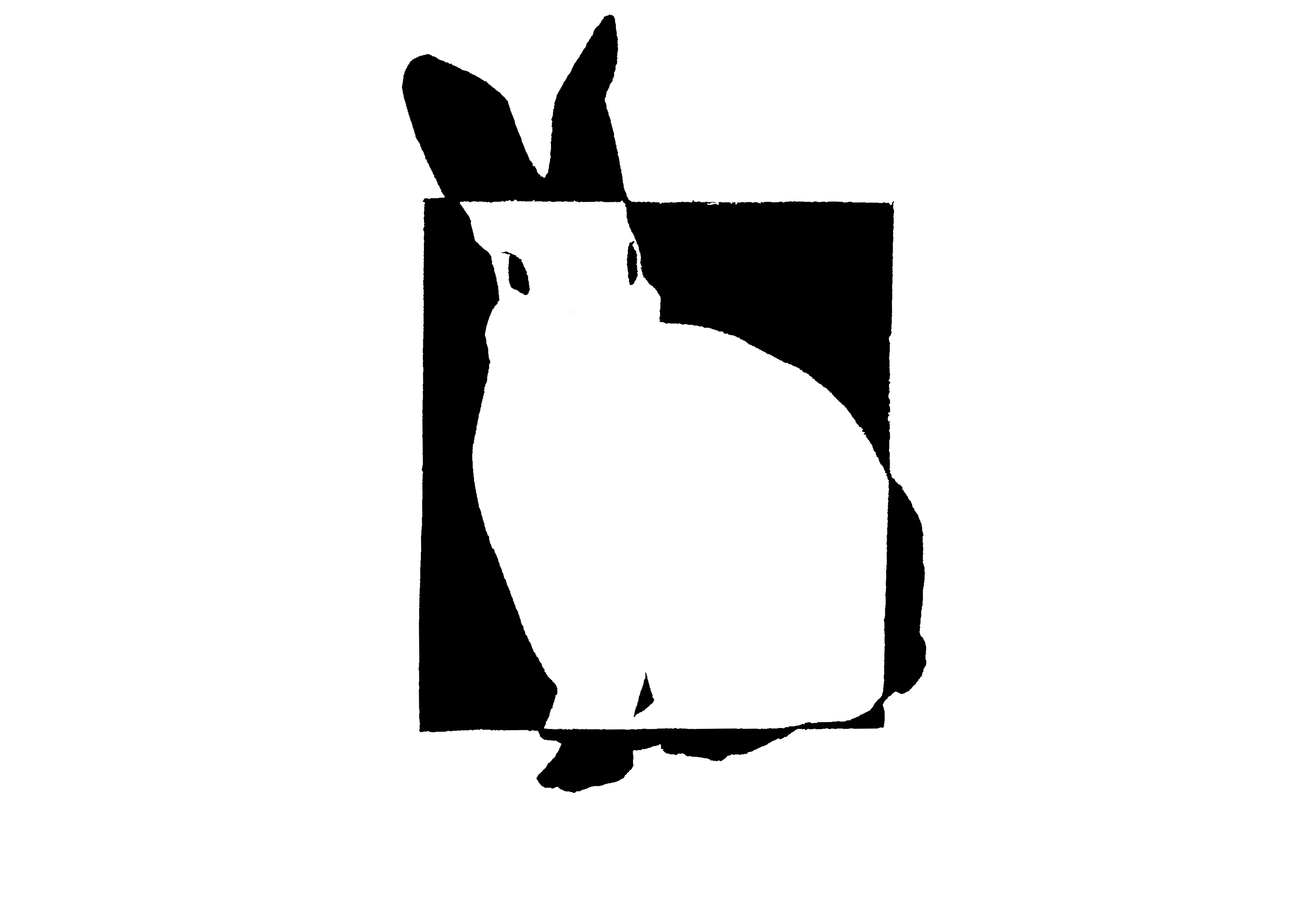 Bunny Image